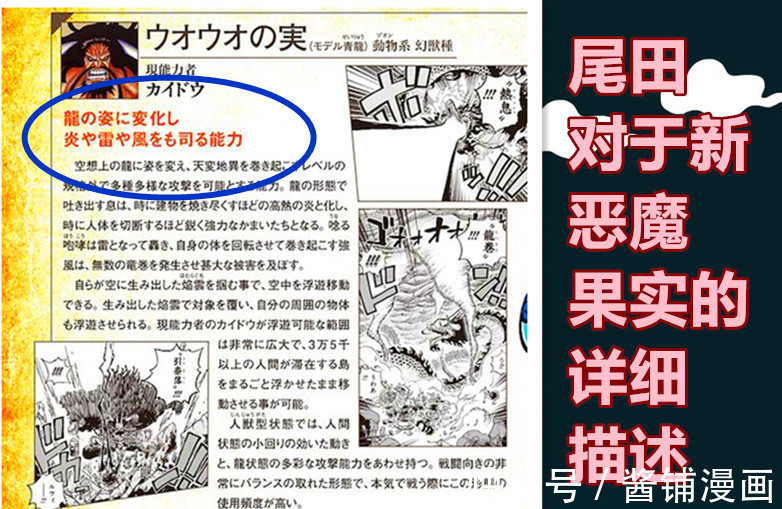 幻兽|海贼王最新情报,尾田公布全身龙鳞的新果实设计,掌握风雷火能力