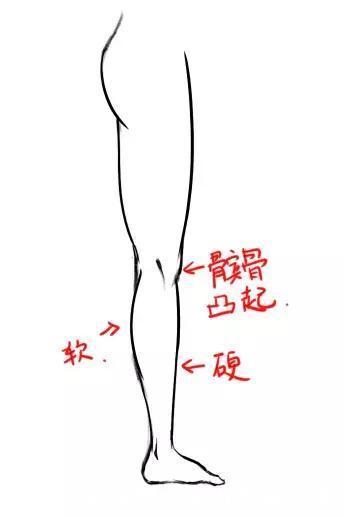 结构简|怎样才能画好人物腿部结构?零基础小白必看的干货教程