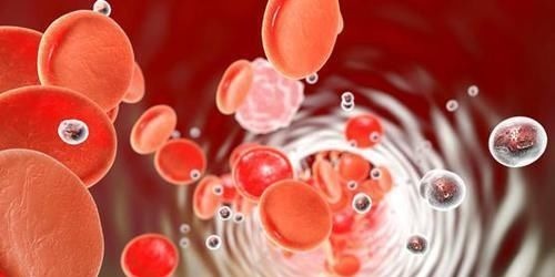 粮农组织|净血的“阿司匹林”发现了,睡前1口,干掉血栓、血脂,血清了!