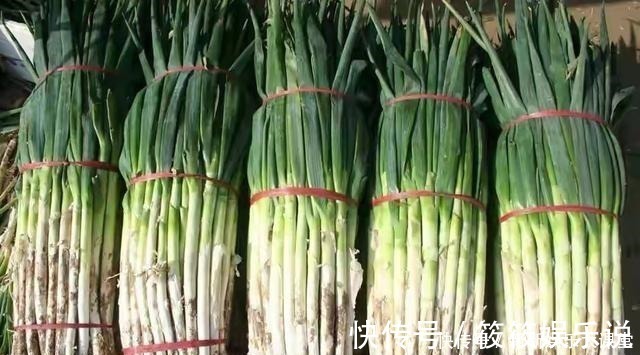 保存大葱很简单，不空心不烂，放半年都不坏，冬天随取随吃