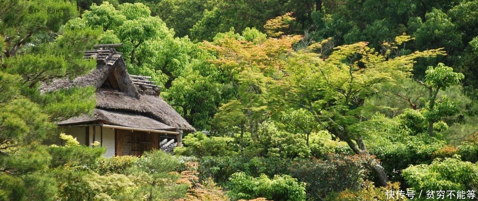 史上最温暖的五首古诗词:愿你熬得过万丈孤独,藏得下星辰大海