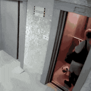 |搞笑GIF:看什么看?赶紧来救我,真装不下去了