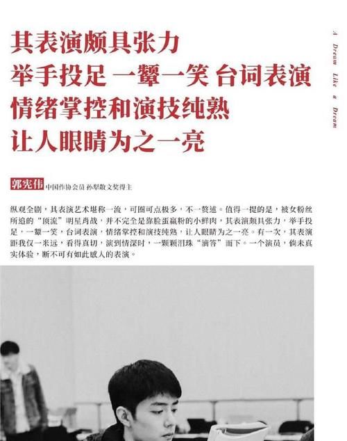 如梦之梦|肖战《如梦之梦》得肯定，9位专业人士发文评价：令人放下成见