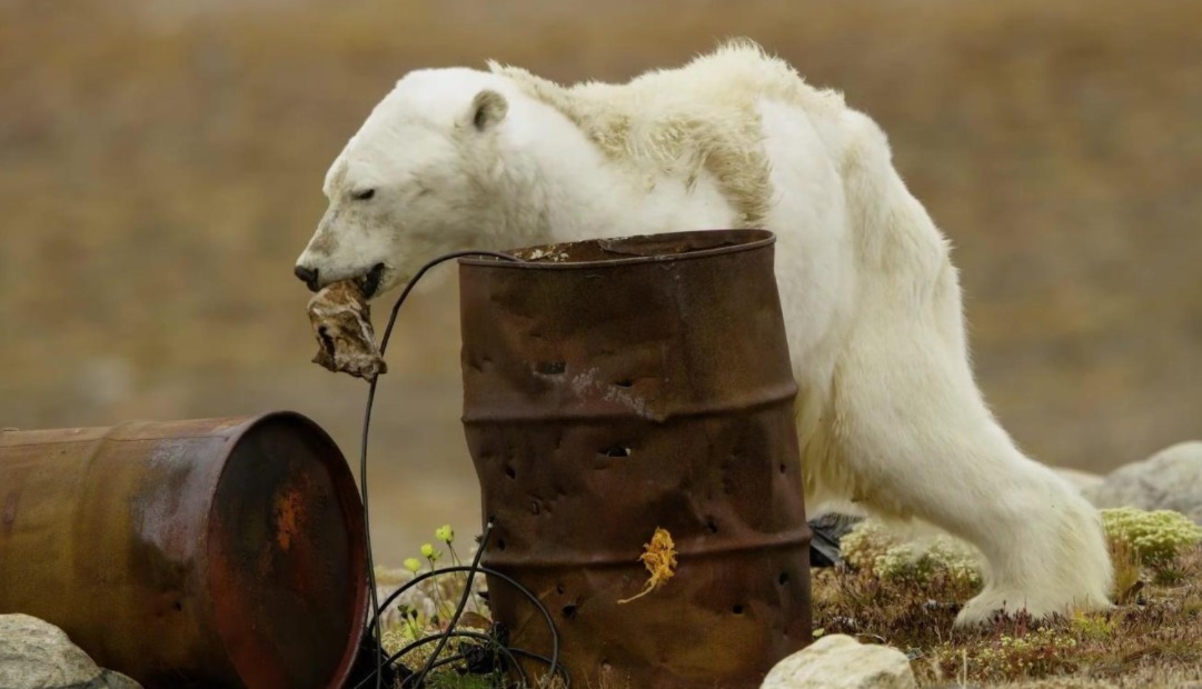 如果不出现意外，地球寿命还有多久？人类移居可能才是最现实的