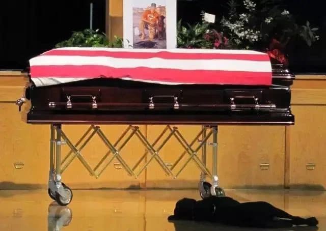 开战|别整天说开战!你热爱战争的唯一原因是没参加过战争!