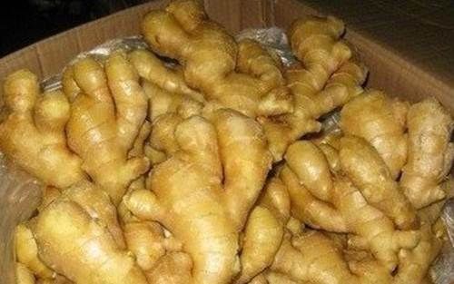 醋泡姜|立秋不等于入秋，湿气闷热还是很大！记得每天吃三片，抗衰少生病