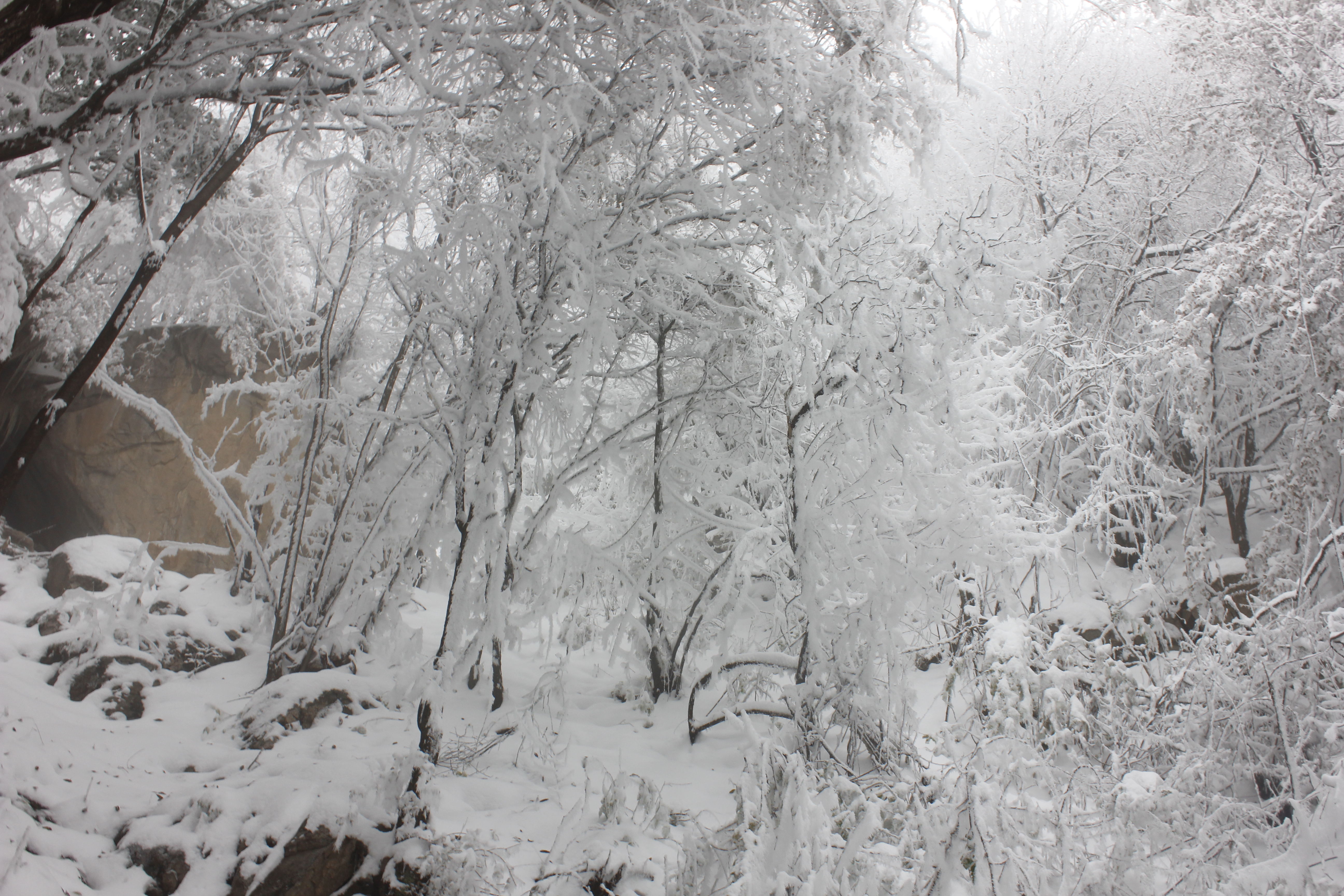 征集|【年末福利征集】雪后南五台幸遇云海