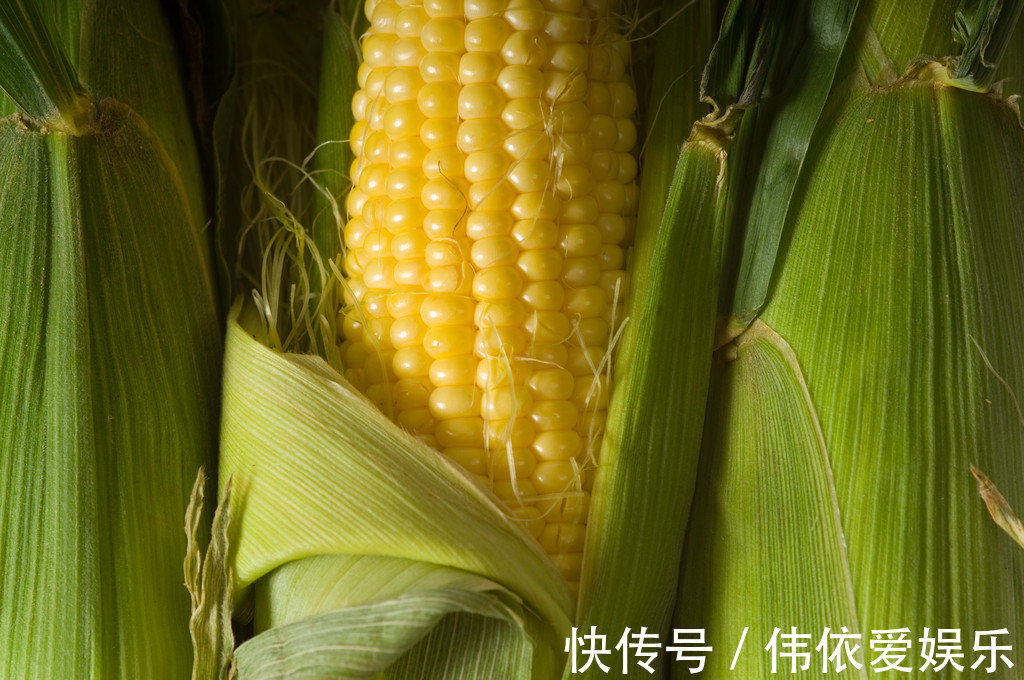 粗粮|吃玉米会伤胃医生坦言若想养胃,2种“粗粮”尽量少吃