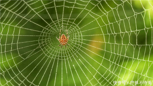 23个冷知识:看起来很有趣,但却没有地方能够使用的奇怪知识