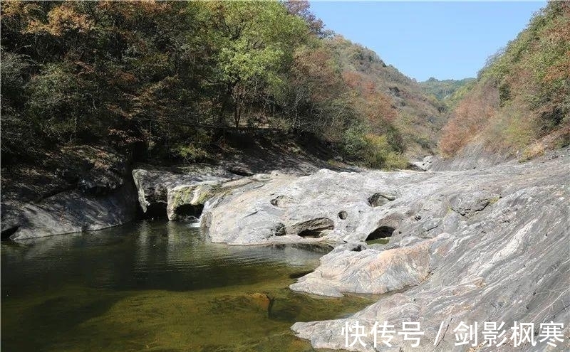 巨树|金寨团山大峡谷里惊现巨树化石