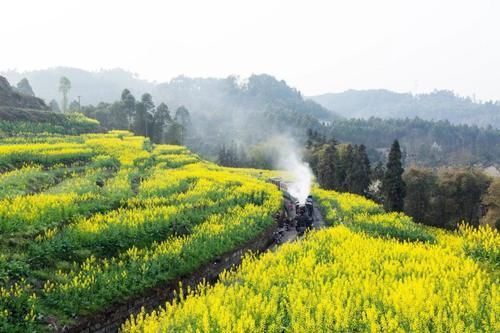 天鹅泉|适合女人去旅游的这几个地方，你去过吗？争取每年去一个都很美好~