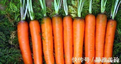 软化血管|高血脂的“特效药”被发现, 每天吃一点, 血管通畅, 血脂轻松降!