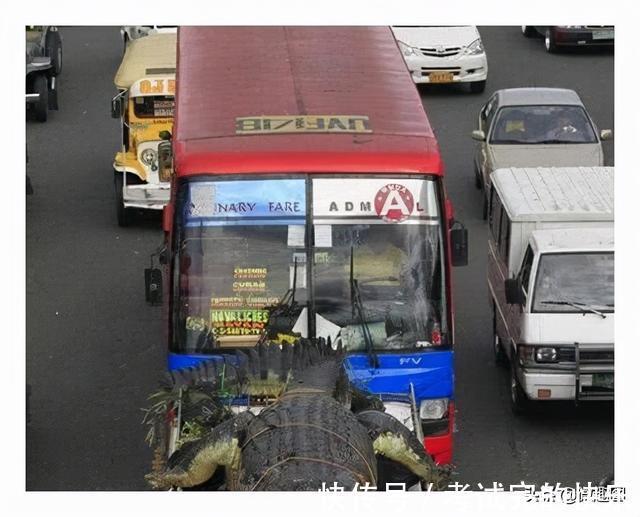 |47张“倒霉又搞笑”的图片,这些人上辈子是毁灭了银河系吗?