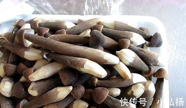 鸡枞菌|有钱就买这菜,300元多1斤,比松茸还贵,味香甜脆嫩,超滋补