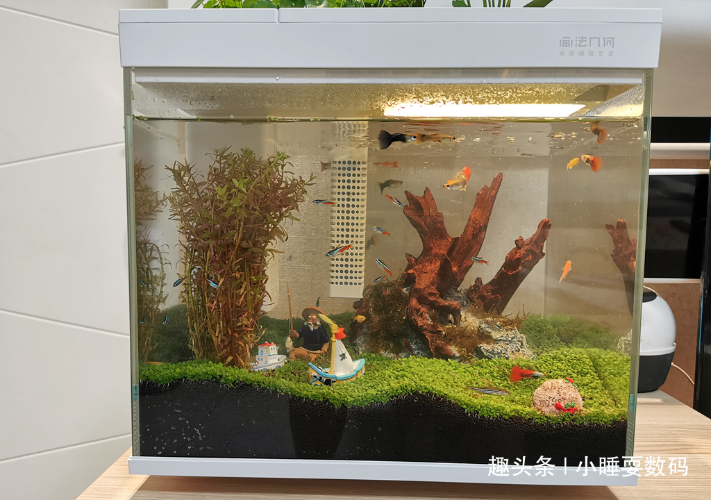 哪种鱼缸更适合养鱼画法几何AI智能鱼缸,水质监测还能自动喂食