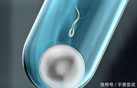 医院|试管和普通婴儿有差距吗是智力还是寿命,听听专家怎么说