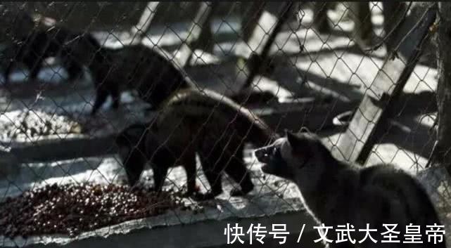 一日三餐|“有钱人”一日三餐都吃什么?看完背后,网友:给十万也不吃