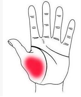 气血|长寿的人,身体三处会“鼓”起来!