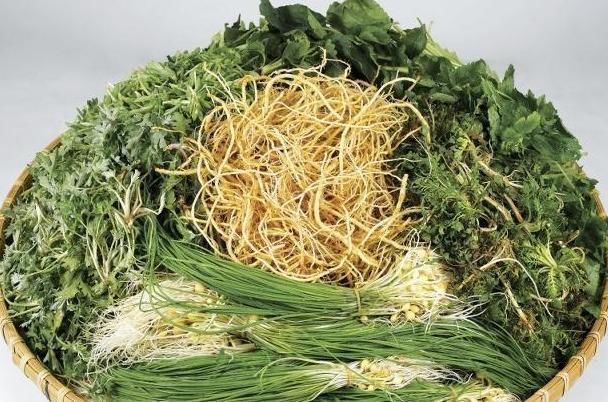 营养物质|经常吃鸡蛋能使你的大脑恢复活力？搭配此物，也许效果更好！