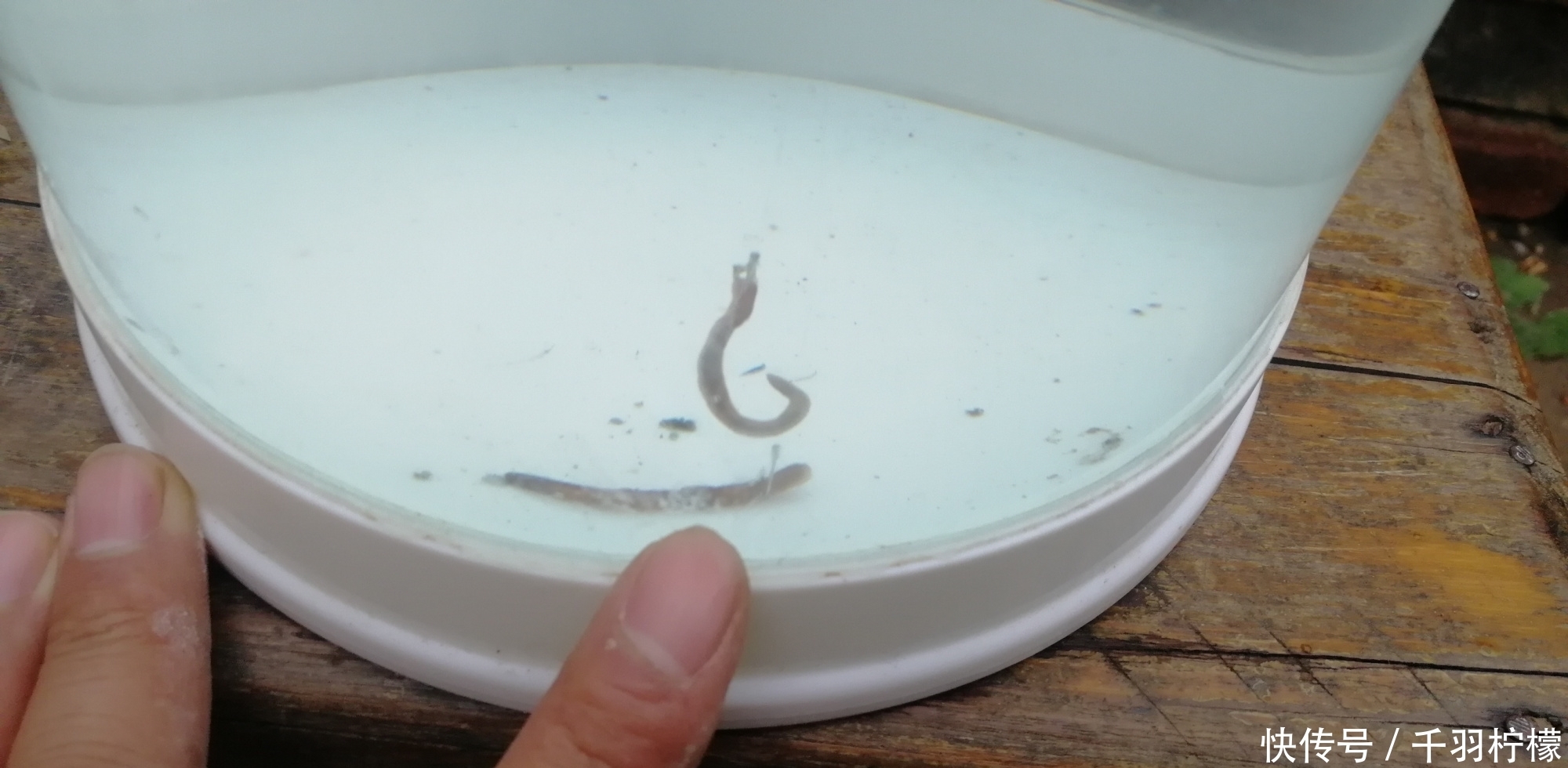 钓目比调目高就一定是两钩到底吗?一个例子让你明明白白!