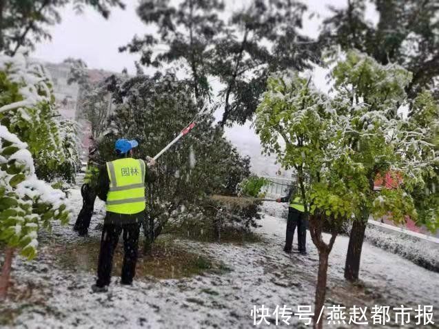 石家庄|河北大雪｜初雪至，石家庄柏林公园的园林工人清理积雪