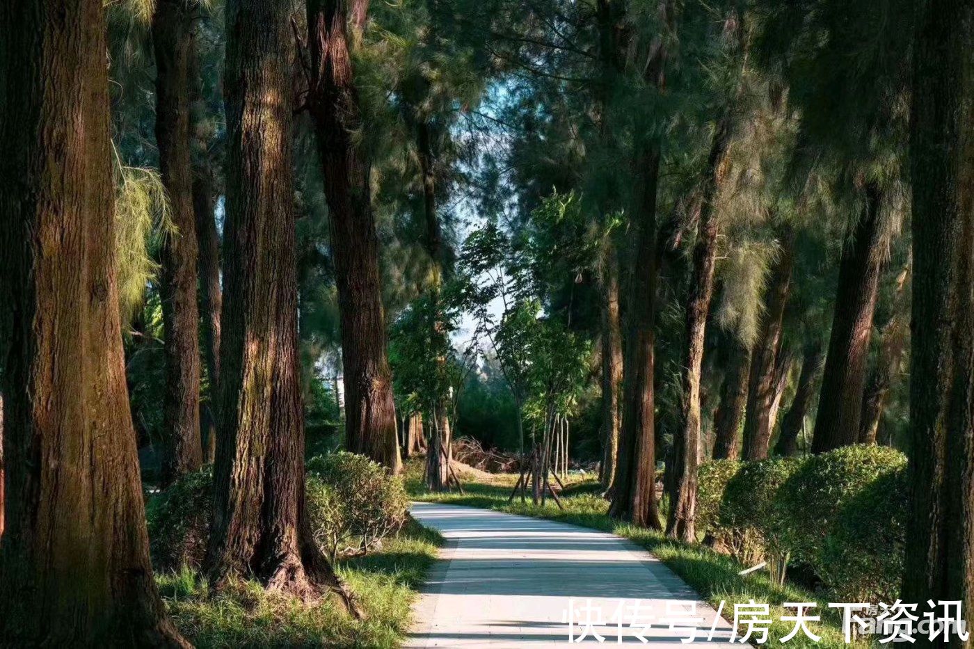 新动态|想看温州洞头区楼盘的最新现场实景，选房一定要看