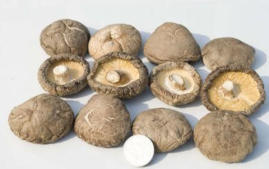 食物|人到中年想长寿,要坚持吃3种食物,补充营养,排毒养颜!