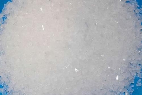 蟹爪兰开谢了，做好3步养护，还能快速复花