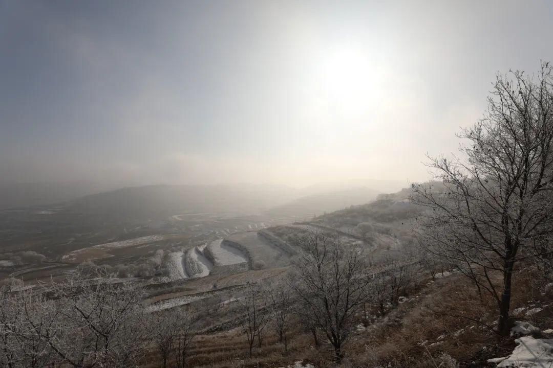 山湾|会宁：最好的风景在山湾里