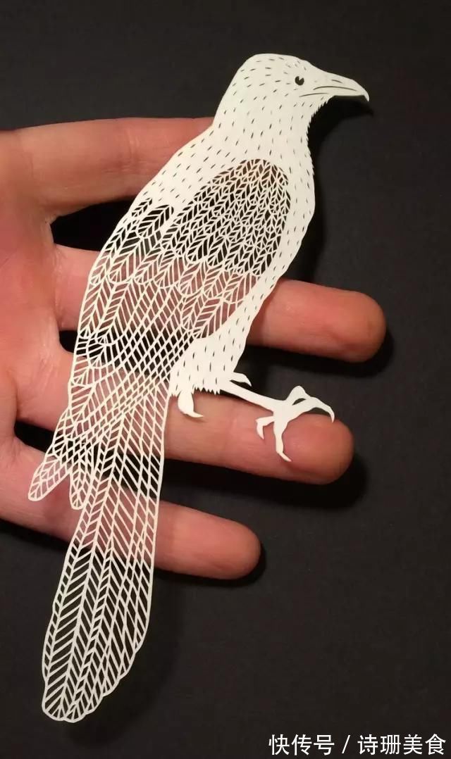 花儿$她就靠一张白纸,弄得如此漂亮,火遍了全世界