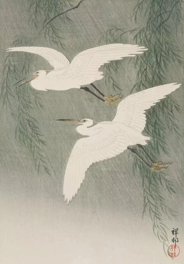 日本绘画大师的花鸟画，淡雅清新