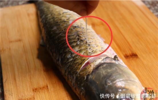 摘除“鱼腥线”就是大错？这4个才是腥味来源，可惜懂的人太少了
