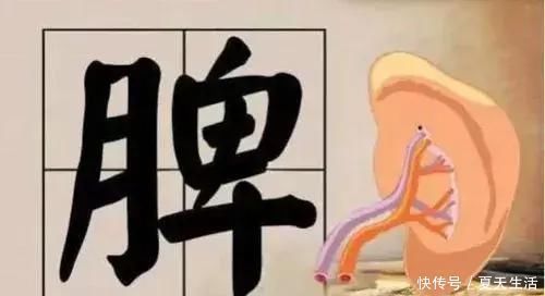 肾虚|脾虚比肾虚更可怕脾有病,人就废一半,虚不虚看你的嘴就知道