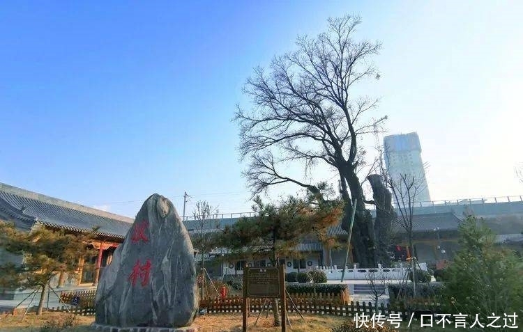 故里|看点丨狄仁杰故里