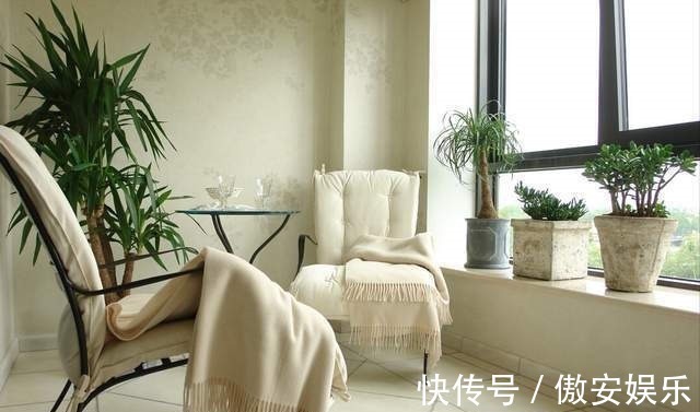 中国传统文化|阳台再小,也能养3种树,小盆就能养,个个都是“传家宝”