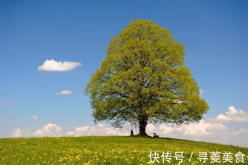 担柴汉|让心静下来的50首禅诗,哪一句触动了你