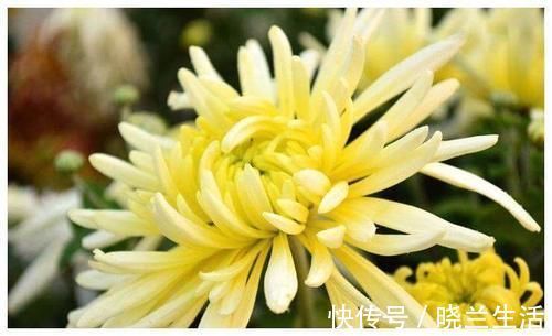 补血|女性不想老太快，多吃3种食物，补血护肤，增强免疫力