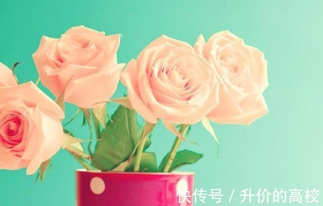 水瓶座|自我意识强,但也善于变通的星座,懂得随机应变,该低头就低头