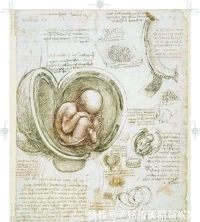 比尔盖茨|世界历史上最值钱的3本书,一本被比尔盖茨买走,一本来自中国!