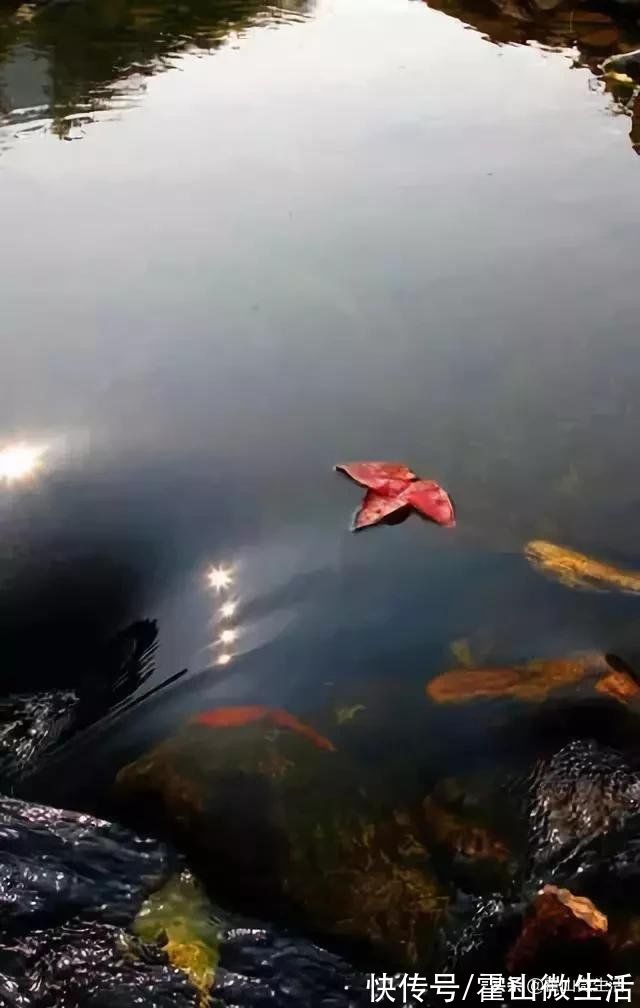 半江瑟瑟半江红|秋水养心—霍山，原生态秋水澄澈纯粹