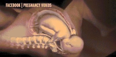 小宝宝|分娩痛得死去活来时宝宝在干嘛?暖哭!你真的不是一个人在战斗!