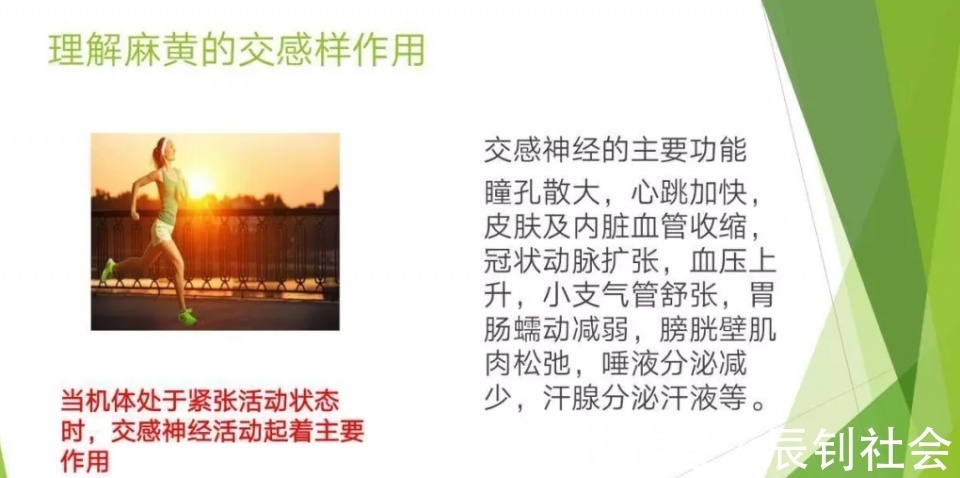 良方|3味药可治35种病，《伤寒论》中埋藏最深的良方就是它！