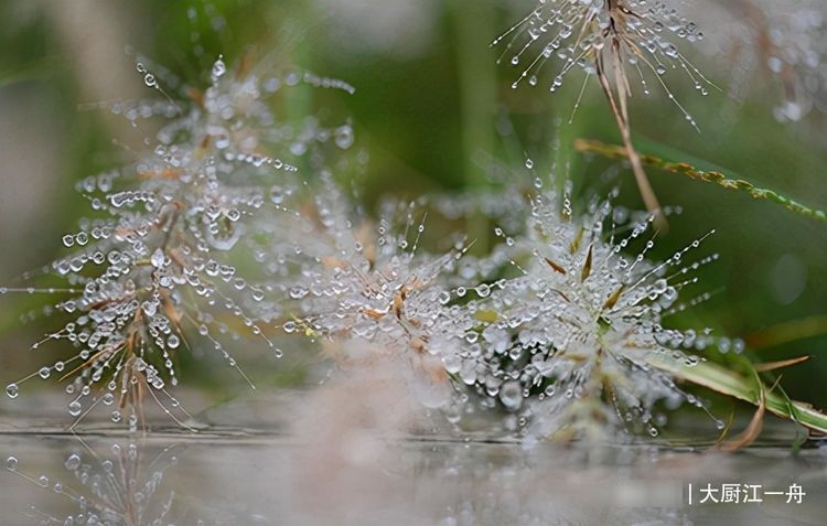 寒露后，天气转凉，教你4道热汤做法，喝一口，比吃火锅还要暖和