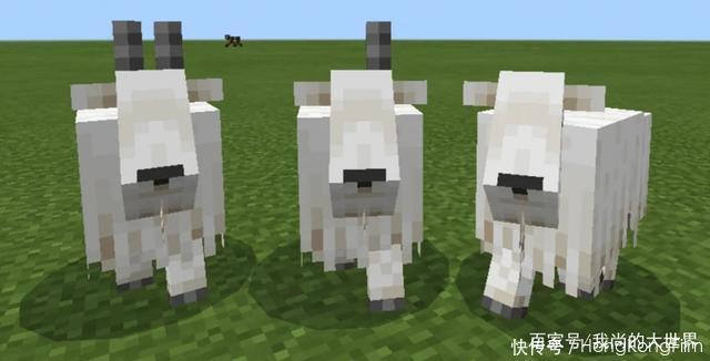 我的世界 末影人居然是 男 的 Java版的 山羊角 不翼而飞 全网搜 我的世界 末影人居然是 男 的 Java版的 山羊角 不翼而飞 全网搜