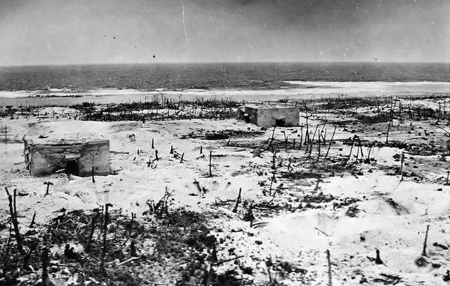 兵种|二战中让日军叫苦连天的一个兵种,现在中国即将撤编