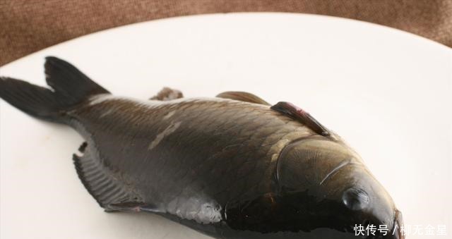 羊肉|鱼加羊是新鲜的,“鱼羊一锅鲜”在上确实是美味