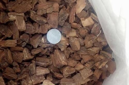  改良|正确使用柳树皮养花，可改良土壤，保植物不黄叶、不烂根！