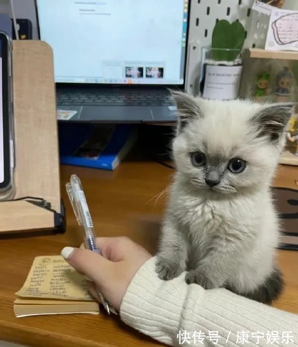 |搞笑趣图:妹纸们玩的很嗨呀,我可以加入么