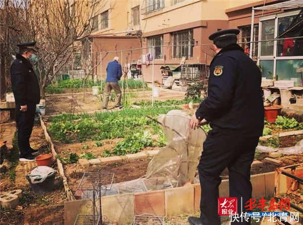 青岛市城市管理局开展绿化执法冬季攻势行动“回头看”