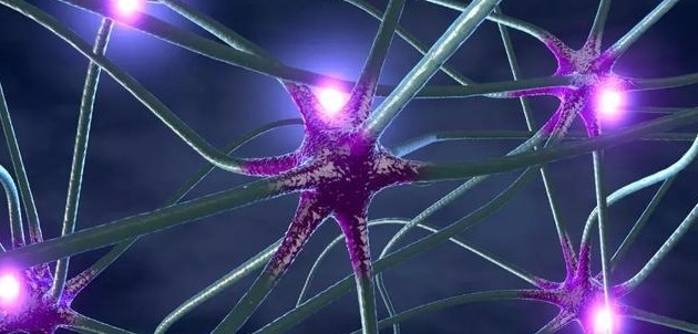 诊断|42岁女子口吐白沫,昏迷4年,直至最后,医生才发现诊断错了